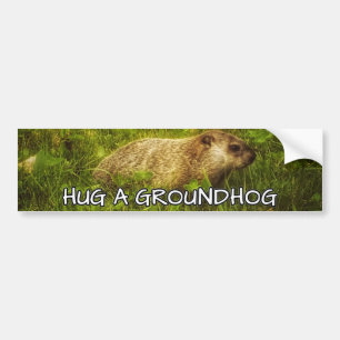 Hugga en stötfångare bildekal