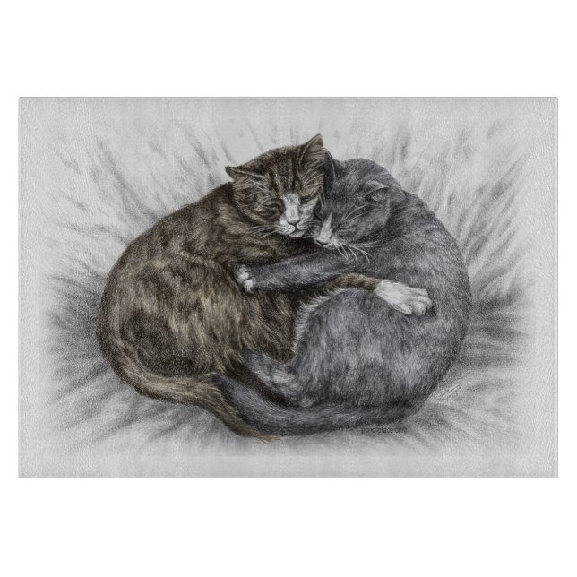 Hugger Cats Sleeping (Framsidan)