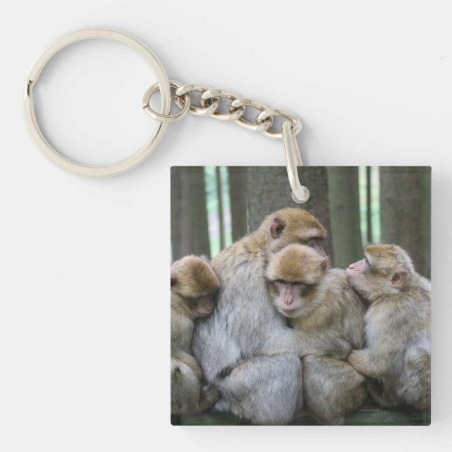 Huggfoto för grupp av ljuddämpare för Cute Ape-fam (Framsidan)