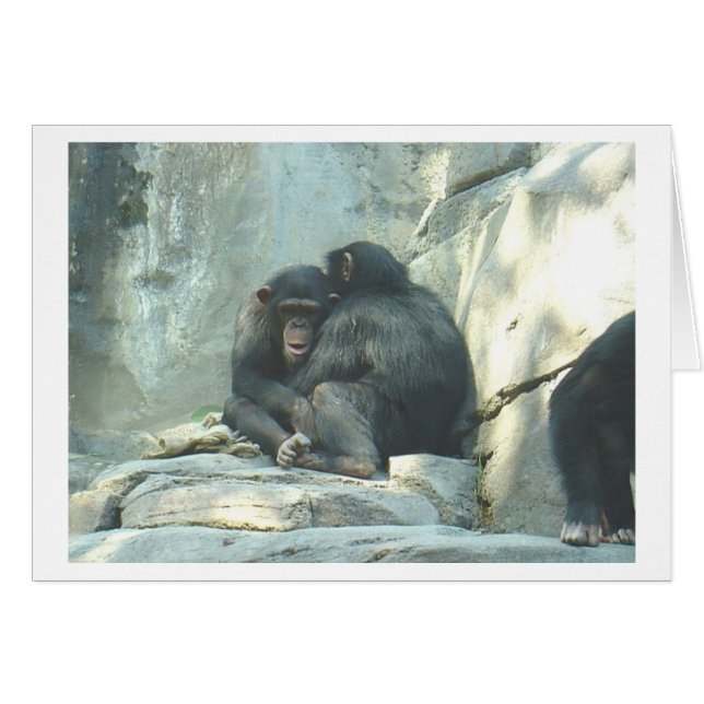 Huggin Chmps Hälsningskort (Framsidan Horizontal)