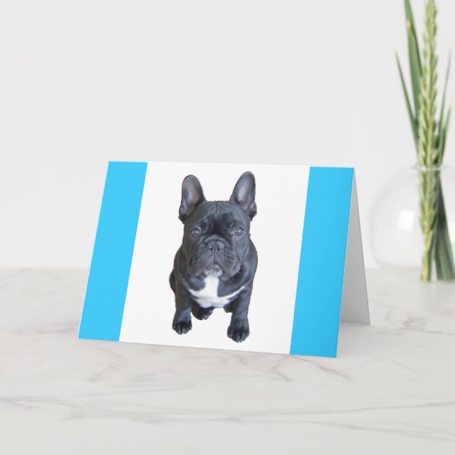 Hugo Card Kort (Framsida)