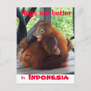 Hugs är bättre i Indonesien Vykort