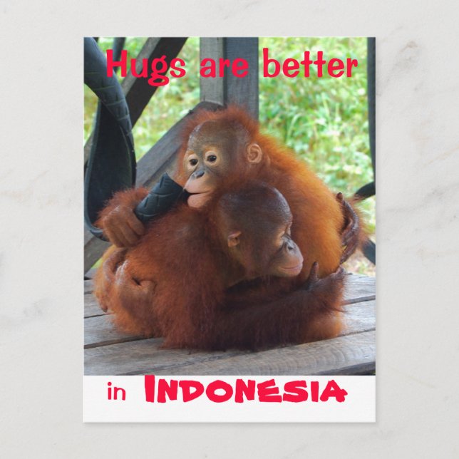 Hugs är bättre i Indonesien Vykort (Framsida)