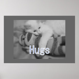 Hugs kattunge Poster