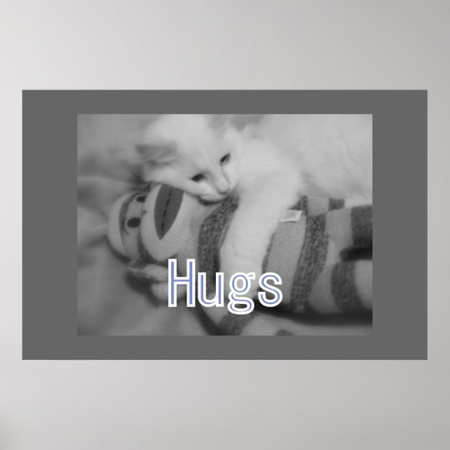 Hugs kattunge Poster (Framsidan)
