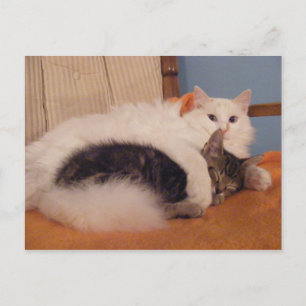 HugZ vykort