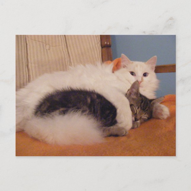 HugZ vykort (Framsida)