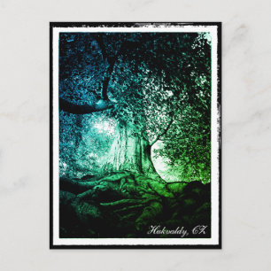 Hukvaldy - Beech Träd, Morava, Czechia Postcard Vykort