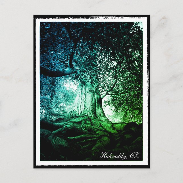 Hukvaldy - Beech Träd, Morava, Czechia Postcard Vykort (Framsida)