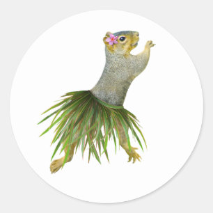Hula Squirrel Sticker Runt Klistermärke