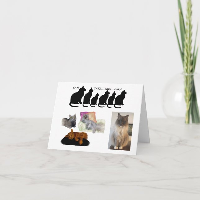 Humalog tanke om katter kort (Framsida)