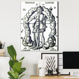 Humalog vintage illustration av zodiaktecken poster