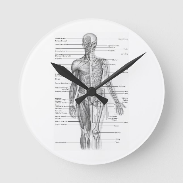 Human Anatomy Chart Rund Klocka (Framsida)