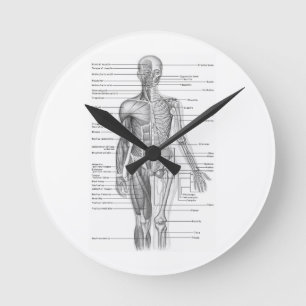 Human Anatomy Chart Rund Klocka