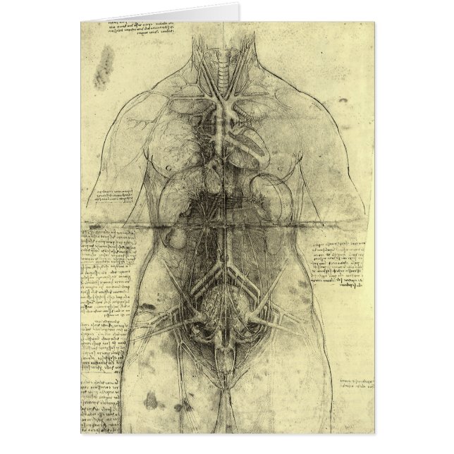 Human Anatomy, Female Torso av Leonardo da Vinci Hälsningskort (Framsidan)