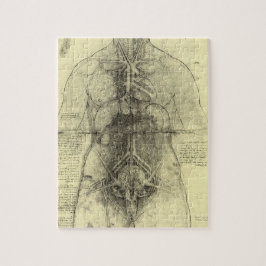 Human Anatomy, Female Torso av Leonardo da Vinci Pussel