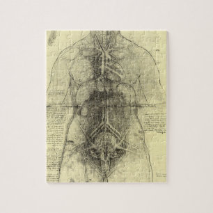 Human Anatomy, Female Torso av Leonardo da Vinci Pussel