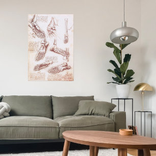 Human Anatomy Foot Bones by Leonardo da Vinci Poster