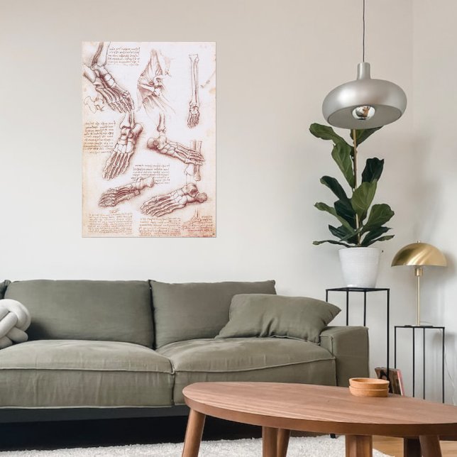 Human Anatomy Foot Bones by Leonardo da Vinci Poster (Skapare uppladdad)