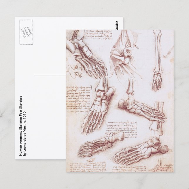 Human Anatomy Foot Bones by Leonardo da Vinci Vykort (Fram/baksida)