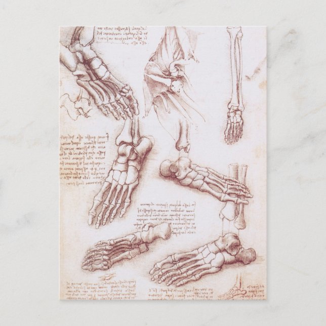 Human Anatomy Foot Bones by Leonardo da Vinci Vykort (Framsida)