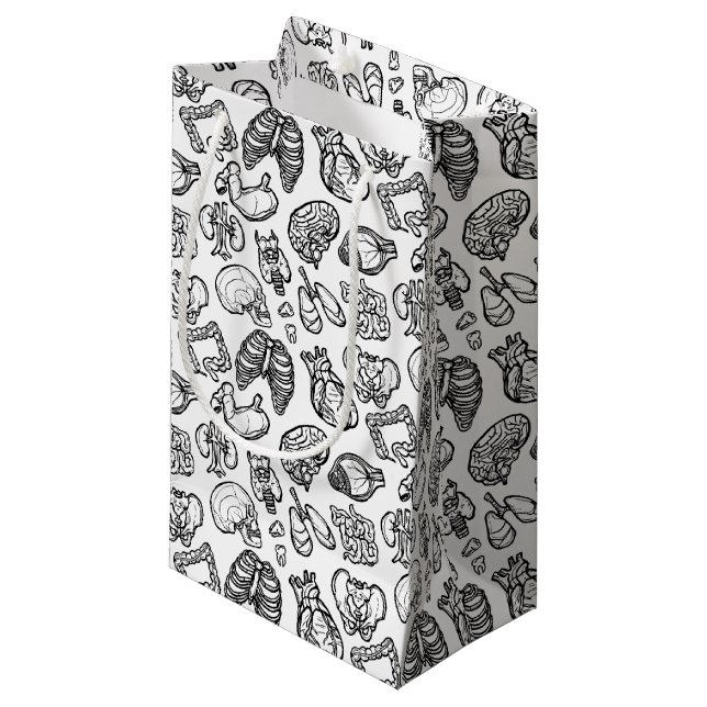 Human Anatomy Konstig Science Bio Skull Halloween (Framsidan Vinklad)