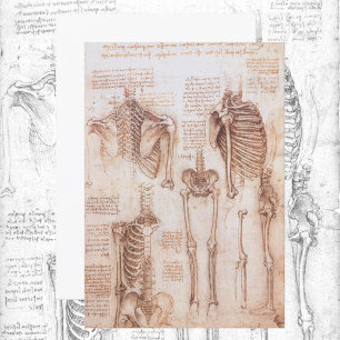 Human Anatomy Skeleton Bones by Leonardo da Vinci