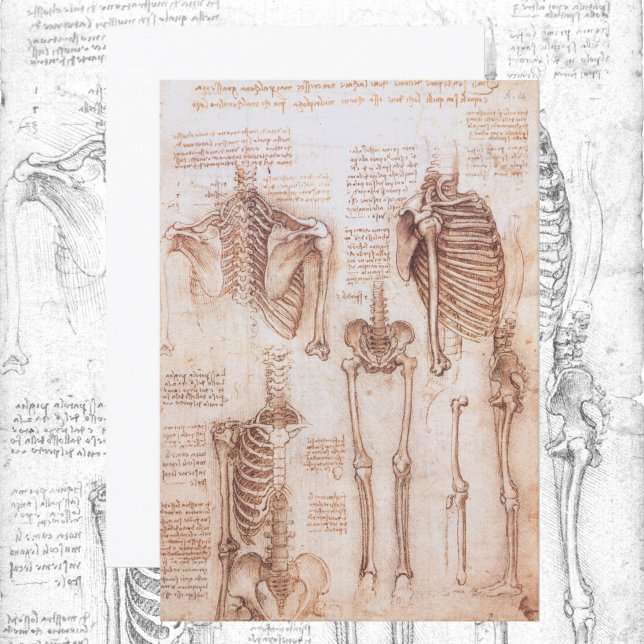 Human Anatomy Skeleton Bones by Leonardo da Vinci (Skapare uppladdad)