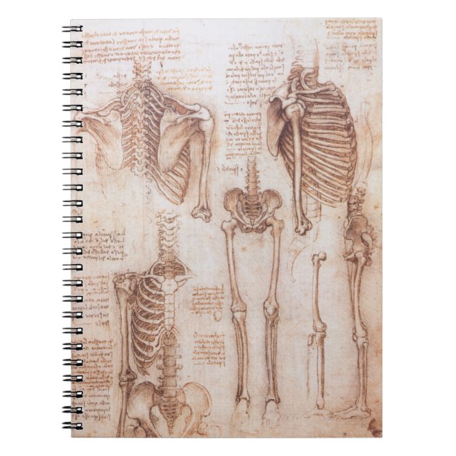 Human Anatomy Skeleton Bones by Leonardo da Vinci Anteckningsbok (Framsidan)