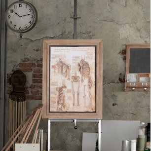 Human Anatomy Skeleton Bones by Leonardo da Vinci Poster