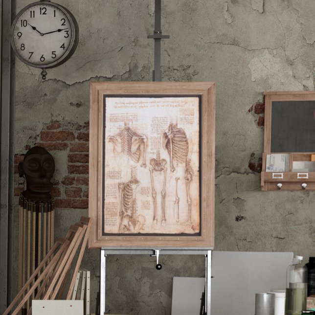 Human Anatomy Skeleton Bones by Leonardo da Vinci Poster (Skapare uppladdad)