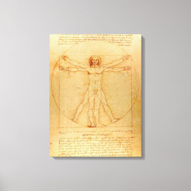 Human Anatomy, Vitruvian Man by Leonardo da Vinci Canvastryck (Framsida)