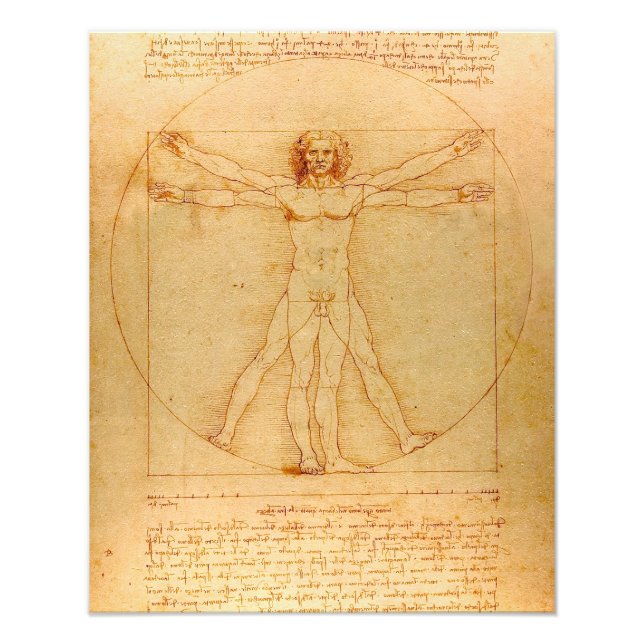 Human Anatomy, Vitruvian Man by Leonardo da Vinci Fototryck (Framsidan)