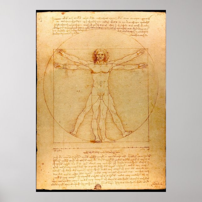 Human Anatomy, Vitruvian Man by Leonardo da Vinci Poster (Framsidan)