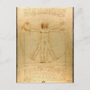 Human Anatomy, Vitruvian Man by Leonardo da Vinci Vykort
