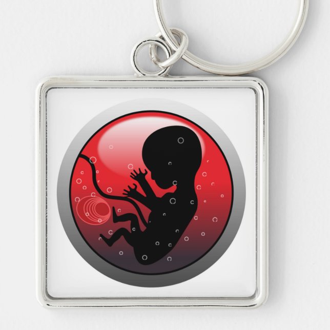 HUMAN BABY EMBRYO FYRKANTIG SILVERFÄRGAD NYCKELRING (Framsidan)