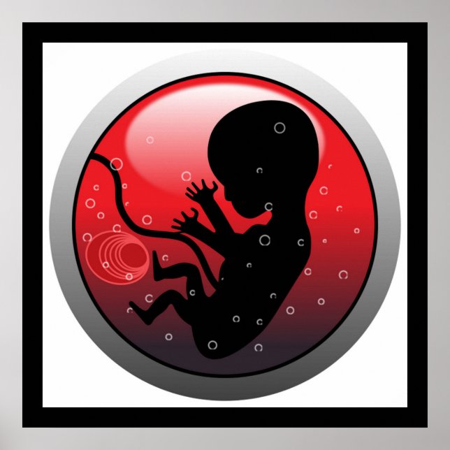 HUMAN BABY EMBRYO POSTER (Framsidan)