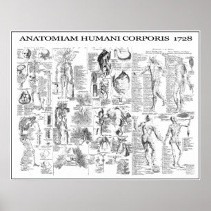 HUMAN BODY ANATOMY 1728 POSTER