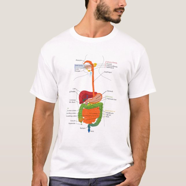 Human Body Digestive System Gastrointestinal Tract T Shirt (Framsida)