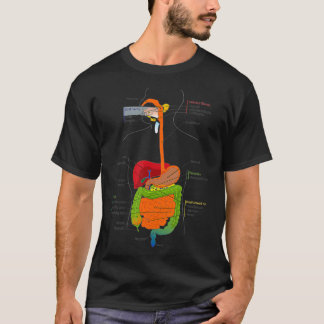Human Body Digestive System Gastrointestinal Tract T Shirt