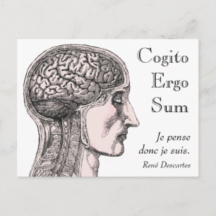 Human Brain Illustration Cogito Ergo Sum Vykort