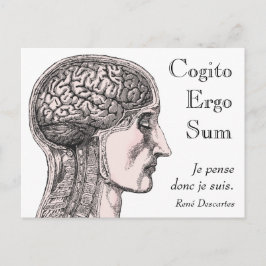 Human Brain Illustration Cogito Ergo Sum Vykort
