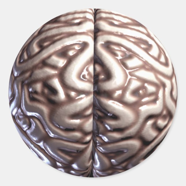 Human Brain Stickers Runt Klistermärke (Framsida)