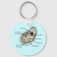 Human Cell Biology T-Shirts