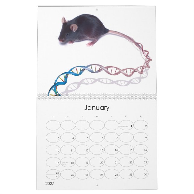 Human Genome Project Bilder Kalender (Jan 2027)