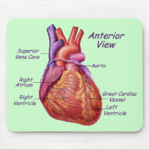 Human Heart Labeed Mousepad Musmatta