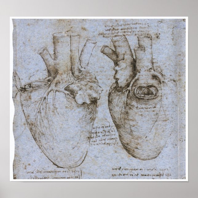 Human Heart, Leonardo da Vinci Poster (Framsidan)