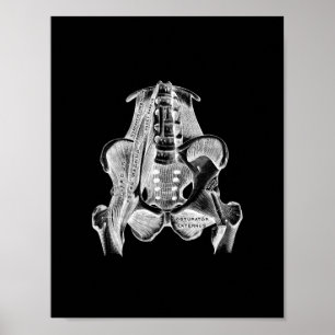 Human Muscle Anatomy in Black and White Print Poster