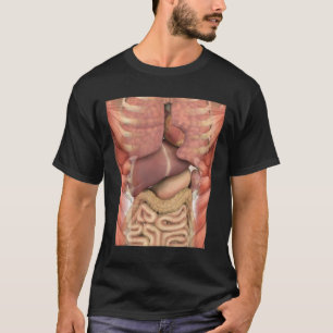 Human Muscles Organs Scary Anatomy Teacher Hallowe T Shirt