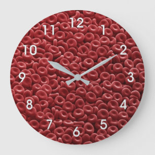 HUMAN RED BLOOD CELLS STOR KLOCKA